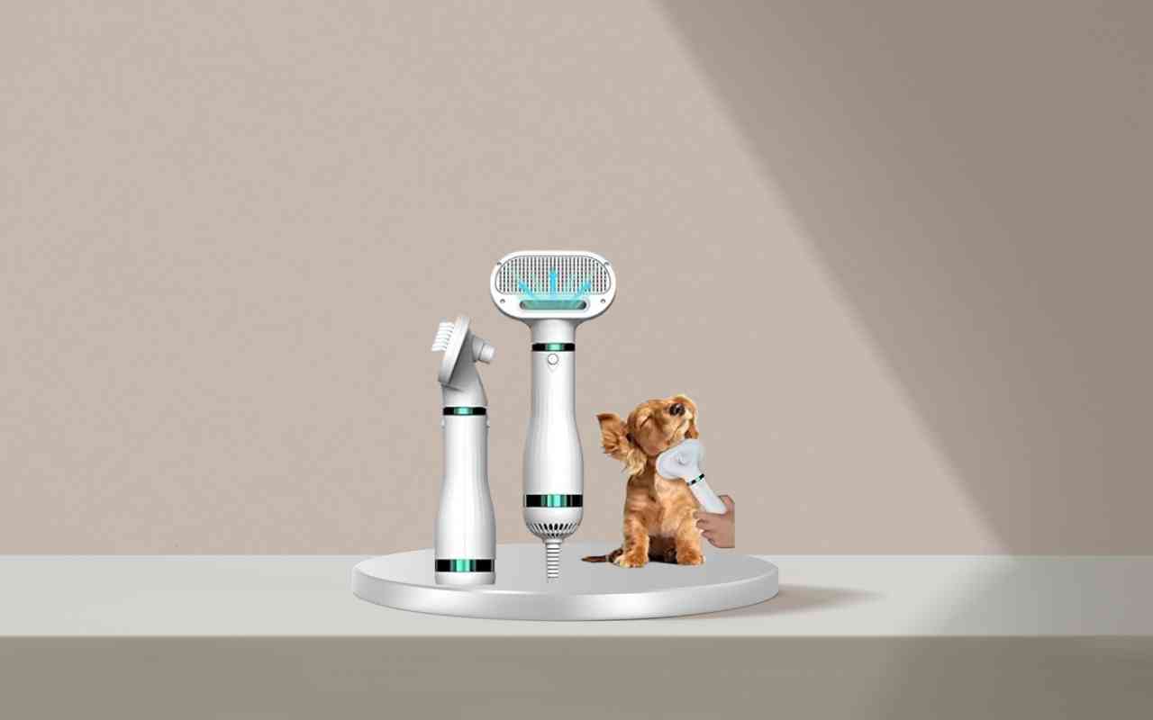 Scopri come addestrare cani e gatti in modo efficace e sicuro con Nice Pet