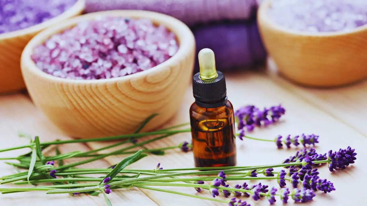 Aggiungi poche gocce di questo olio essenziale nel bucato per un profumo incredibile