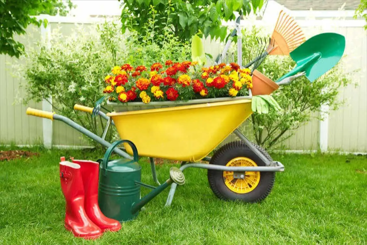 Perché fare giardinaggio ti salva la salute mentale: i benefici sorprendenti del verde