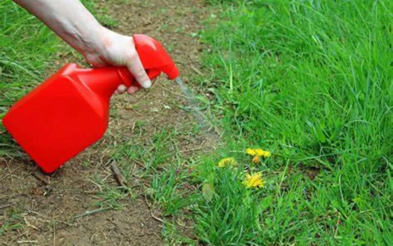 Cos’è il disabituante? Il prodotto che tiene lontani insetti e animali indesiderati